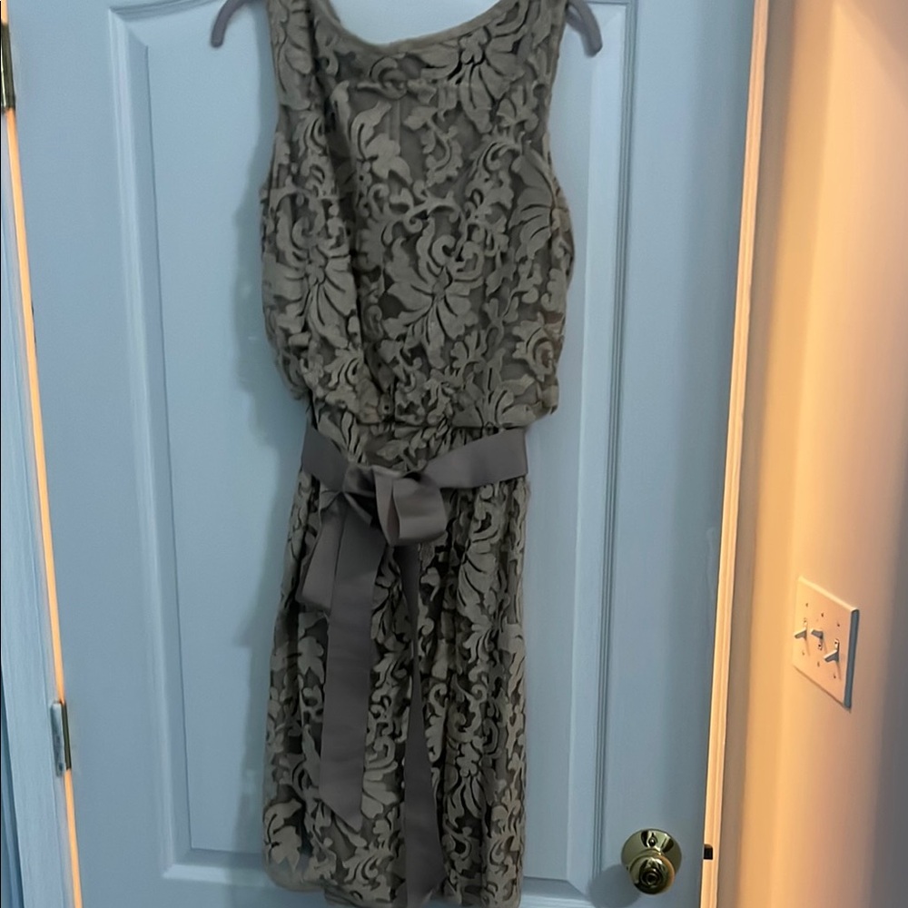 Tadashi Shoji Lace Dress in Taupe
